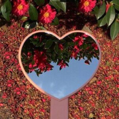 真人斗牛牛手机app下载