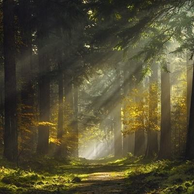 bat365手机app下载截图