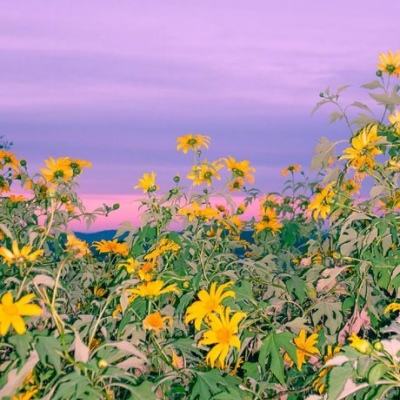 棋牌娱乐www官方网址入口最新版本