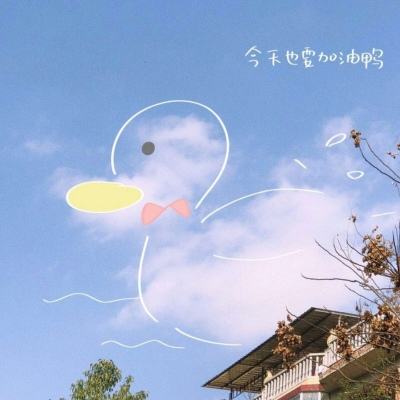 澳大利亚威斯尼斯wns888