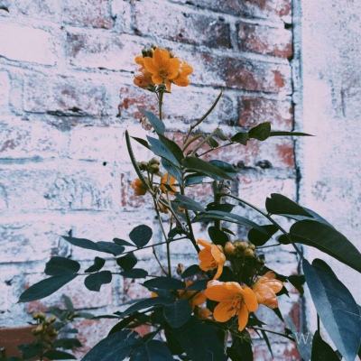 完美电竞平台app下载