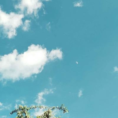 天健棋牌app下载